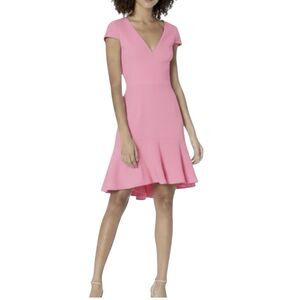 Dress the Population Fit & Flare Dress XS Pink Bettie Cap Sleeve Plunging Party